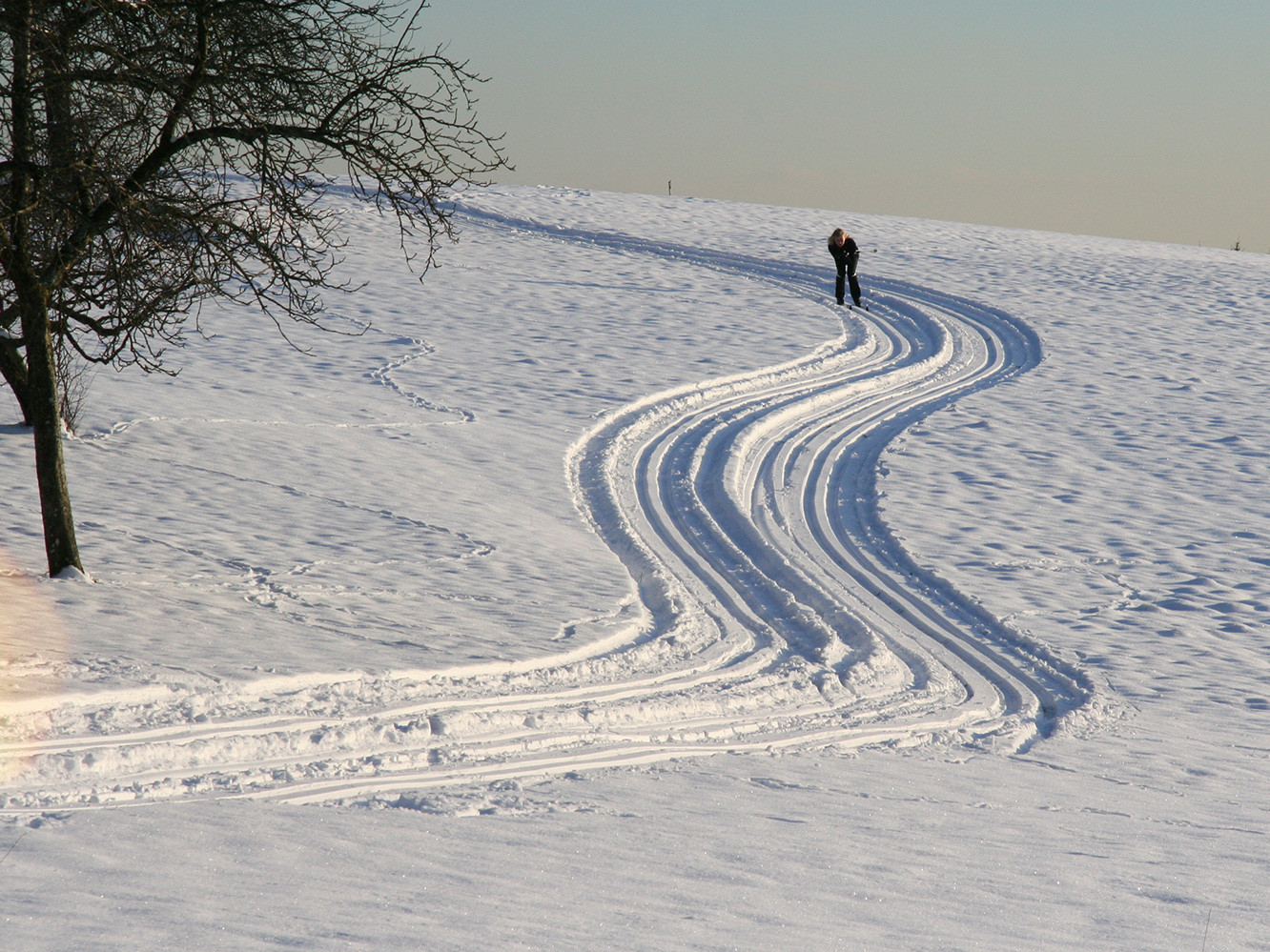 Cross-country ski-track 