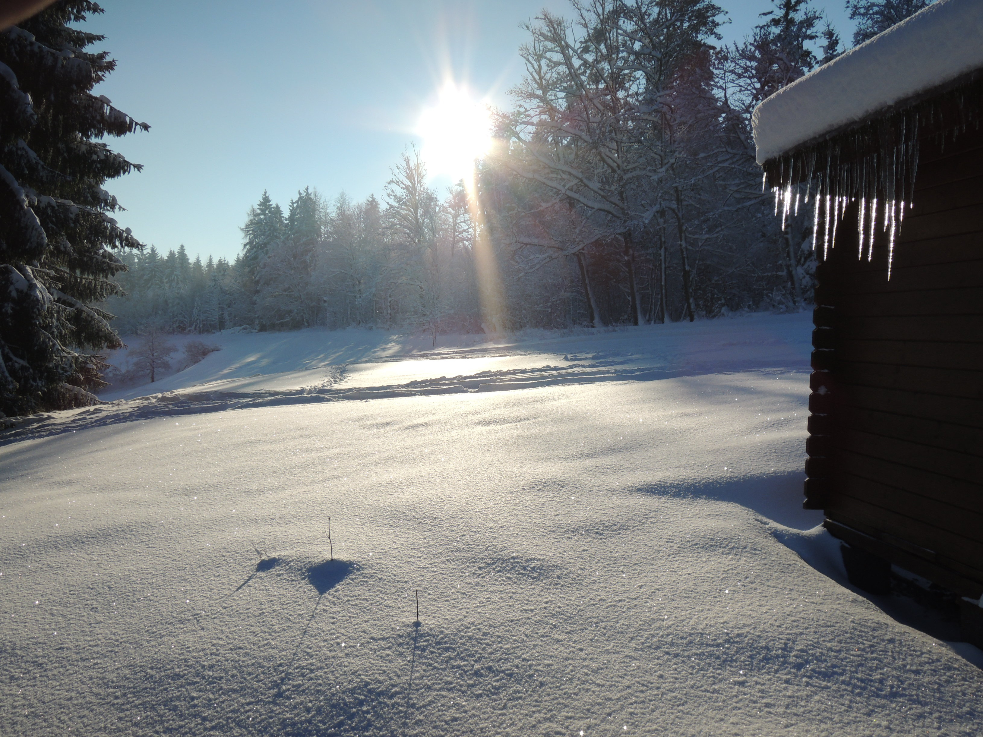 Winter in the Swabian Forest (Gschwend)